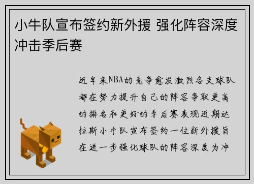 小牛队宣布签约新外援 强化阵容深度冲击季后赛